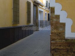 Mula Antigua serie-2